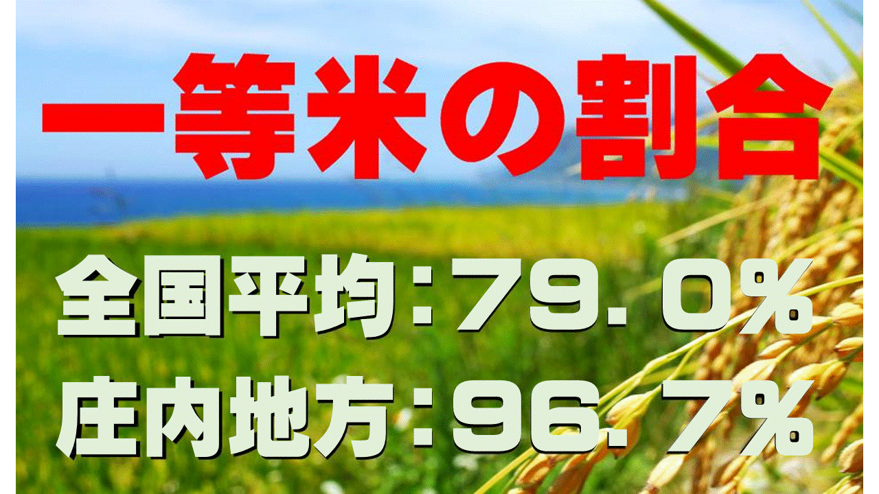 ５年 米作りのさかんな地域 なぜ庄内町は クラッセ を作ったの 22年度ver 指導案 単元計画 ワークシート 資料 パワポ資料 社会科 小学校社会ノマド 小学校社会科授業 指導案データベース