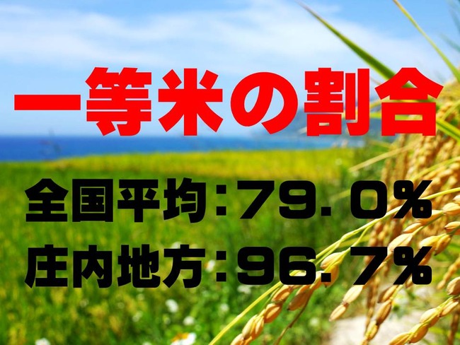 一等米　生産割合