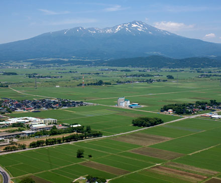 庄内平野