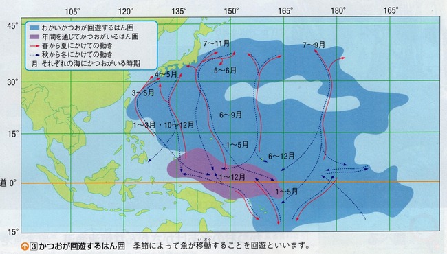 かつおが回遊する範囲