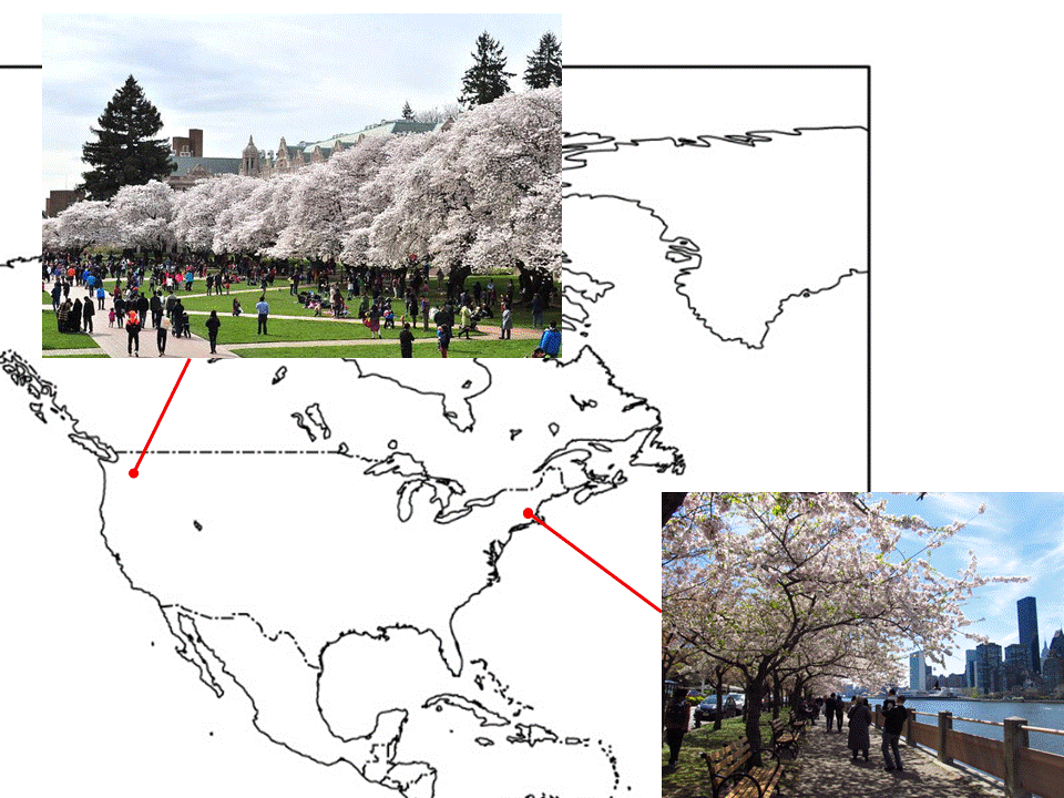 ５年 国土の気候の特色 どうしてこんな違いが生まれるの 当たり前 を考える 年度ver 指導案 単元計画 ワークシート 資料 小学校社会科 小学校社会ノマド 小学校社会科授業 指導案データベース