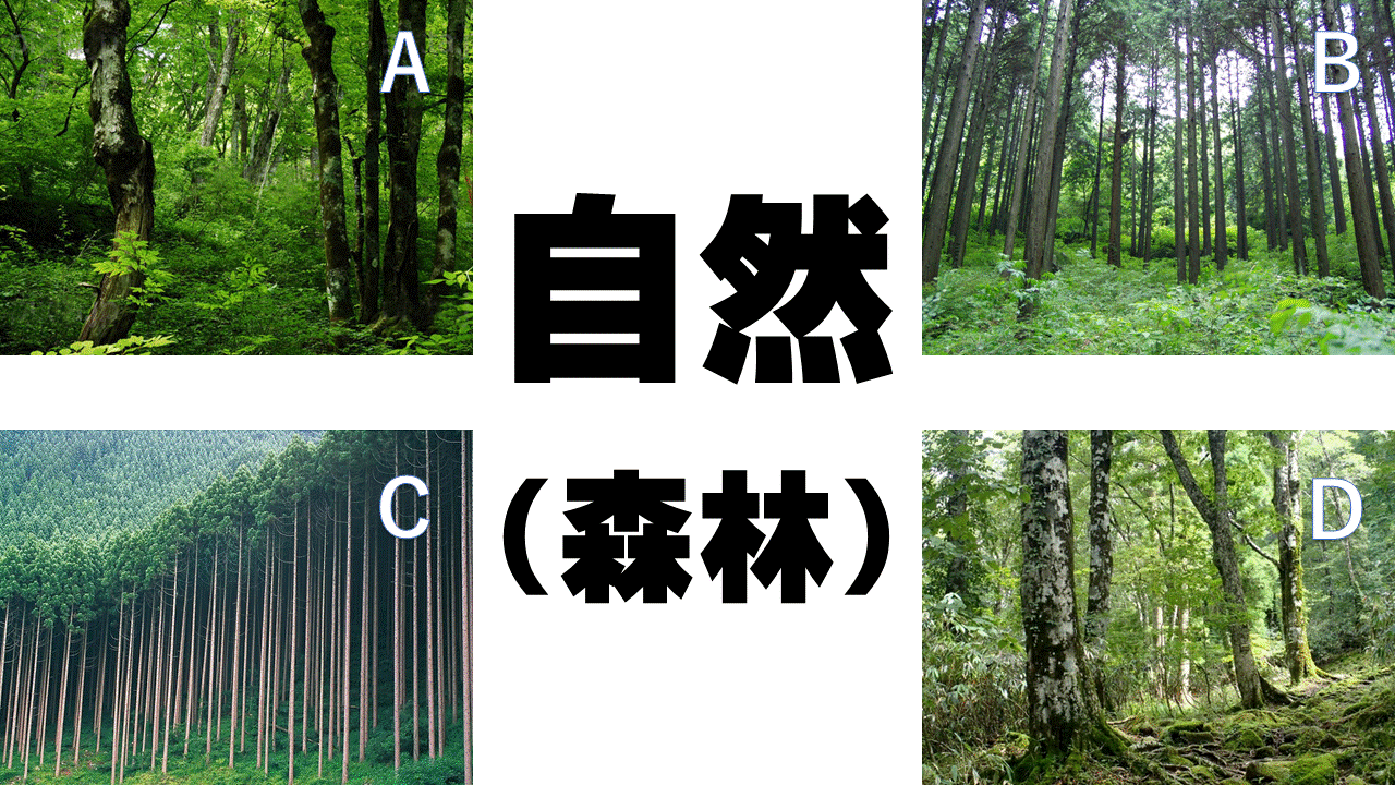 5年 私たちの生活と森林 森林が増えも減りもしない訳は 年度ver 指導案 単元計画 ワークシート 資料 社会科 小学校社会ノマド 子ども自ら考えたくなるような授業を目指して 5年 私たちの生活と森林 森林が増えも減りもしない訳は 年度ver 指導案 単元計画 ワークシート 資料 社会科 小学校社会ノマド 子ども自ら考えたくなるような授業を目指して