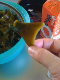 昆布1