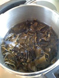 昆布2