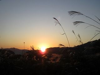IMG_5151