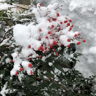 IMG-5504