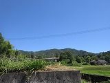 IMG_4844