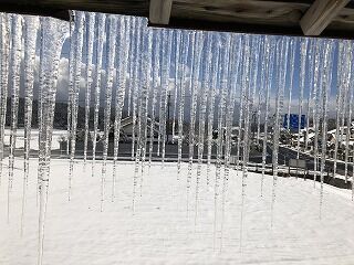 IMG-5294