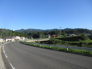 IMG_5131