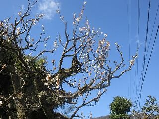 IMG_5650