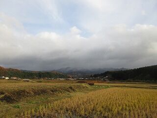 IMG_5340