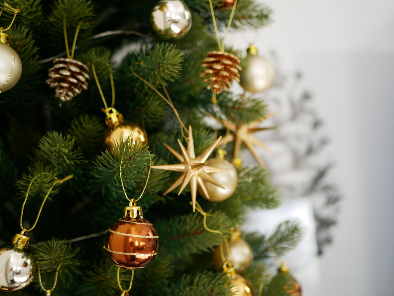 2018・クリスマスツリー】今年もやっぱりこの季節の主役は…コレ( *´艸