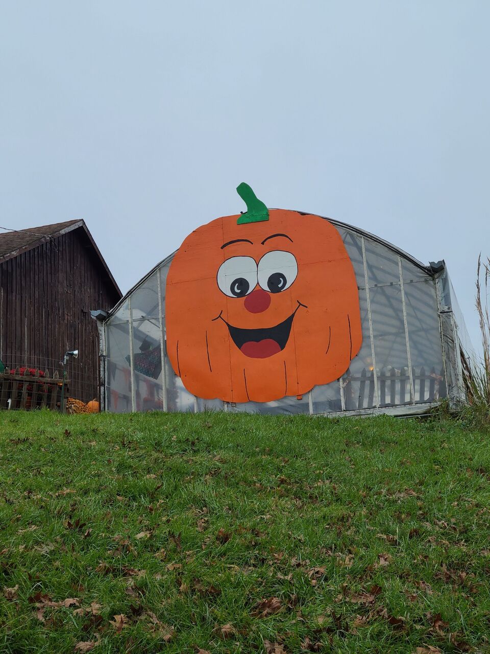息子6歳9ヶ月 アメリカ初心者がハロウィンの準備をするとこうなる オンライン授業でコスチューム発表 まゆお日記