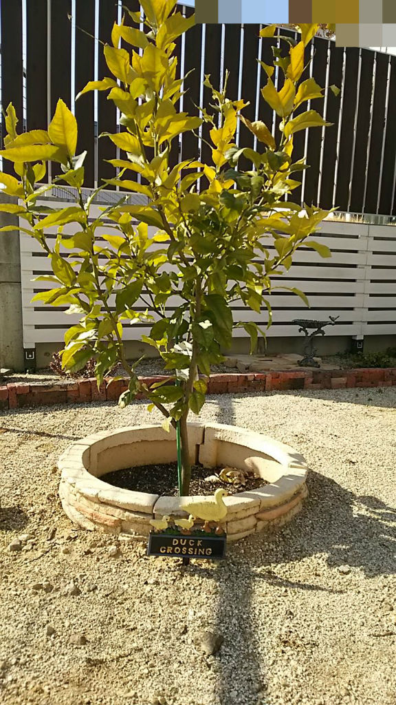 なんちゃってdiyで花壇を作る It S My Small World なんちゃってdiyで花壇を作る It S My Small World