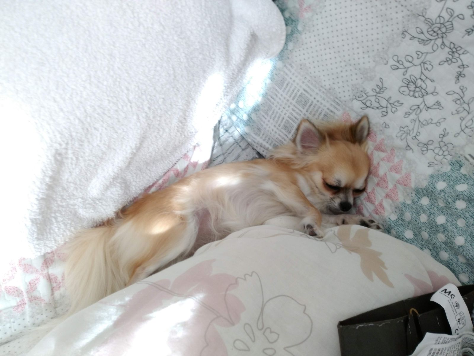 住んで５年経った トヨタホームの外壁汚れは It S My Small World