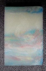 DSC02176a
