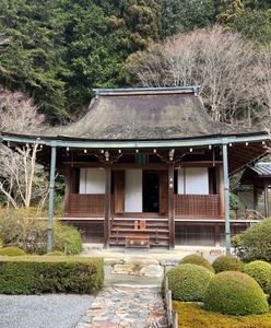 9A3CF351-A608-417C-8C75-26CD808E3318b
