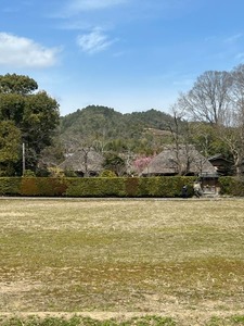 落柿舎付近2b