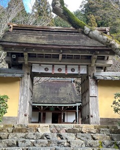 IMG_7287b