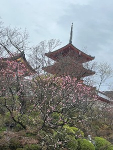 IMG_7258b
