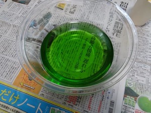 DSC04349a