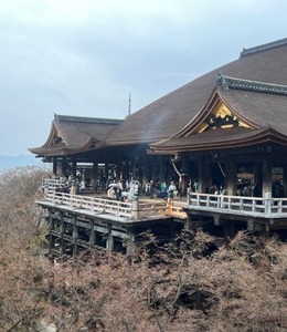 kiyo1