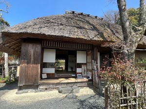 IMG_7370b
