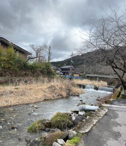 IMG_7285b