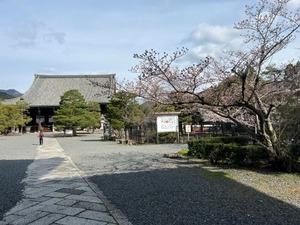 IMG_7321b