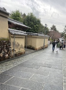 IMG_7272b