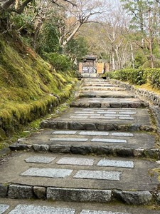 IMG_7333b