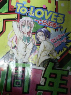 To Loveる人気投票 写真画像 みょうぶろぐ