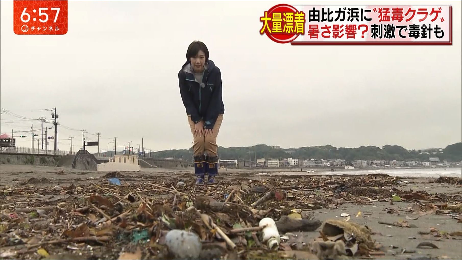 寺崎 比呂美