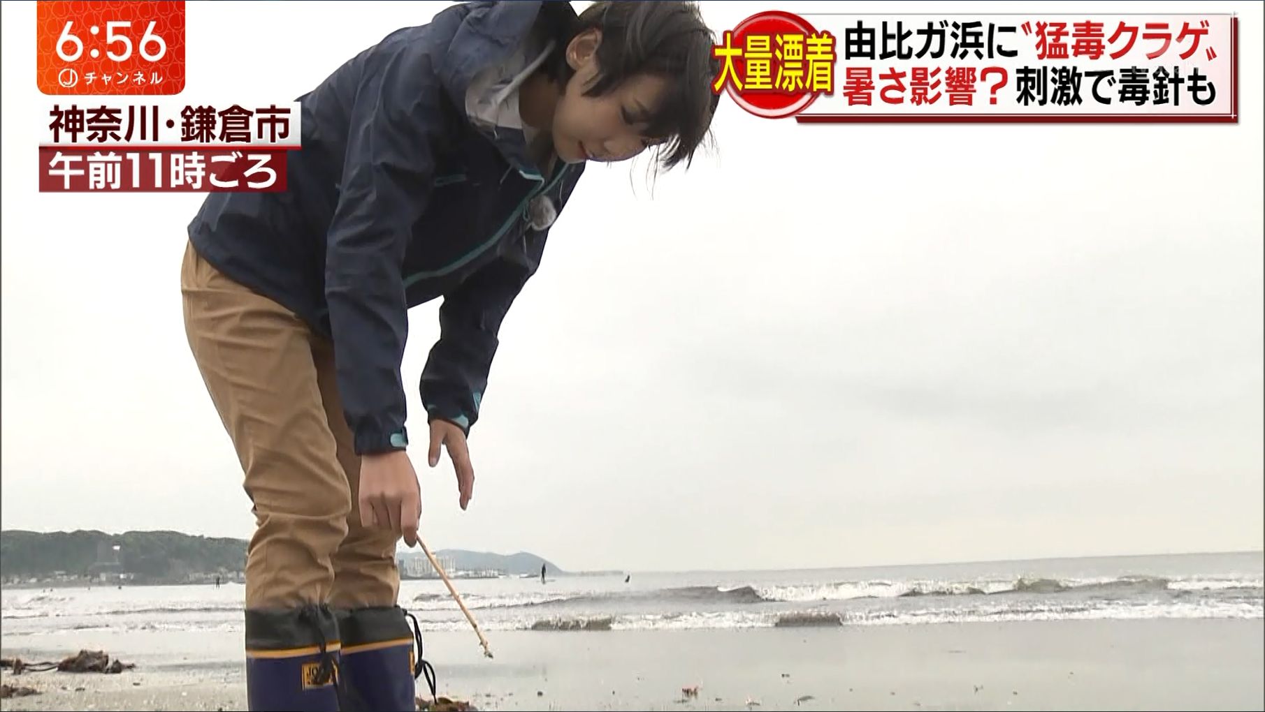寺崎 比呂美