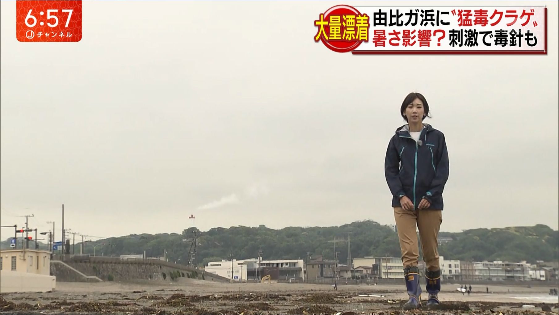 寺崎 比呂美