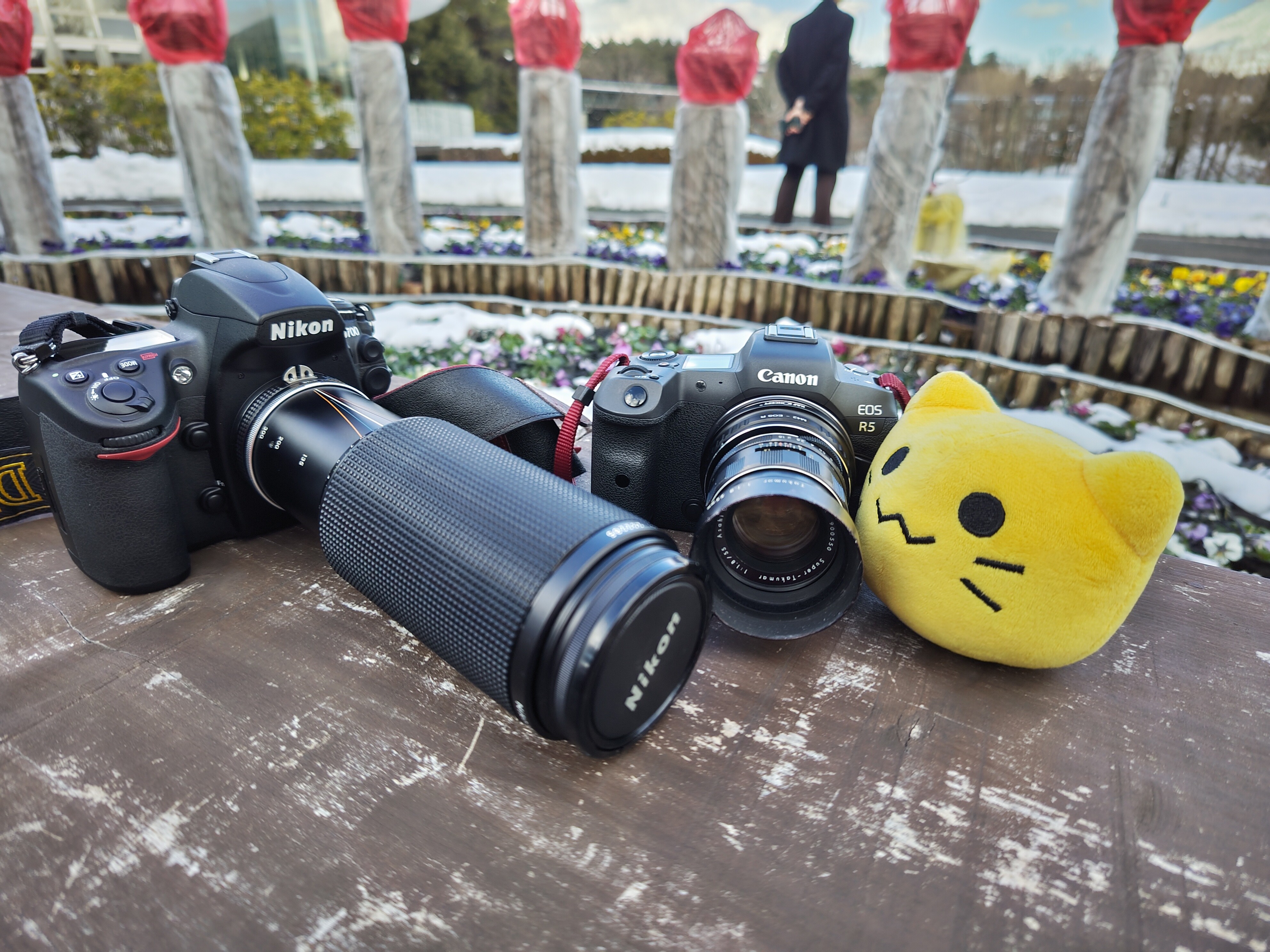 Ai Zoom-Nikkor 100-300mm F5.6Sが生えたお話 : 人形旅記