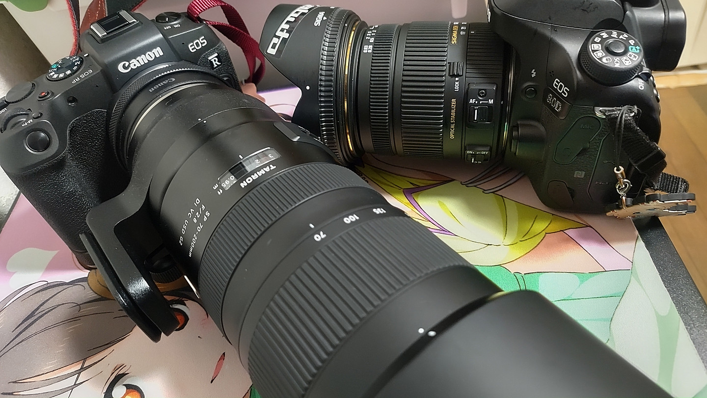 TAMRON SP 70-200mm F2.8 Di VC USD G2(A025)が生えたお話(広島 TAMRON SP 70-200mm F2.8 Di VC USD G2(A025)が生えたお話(広島