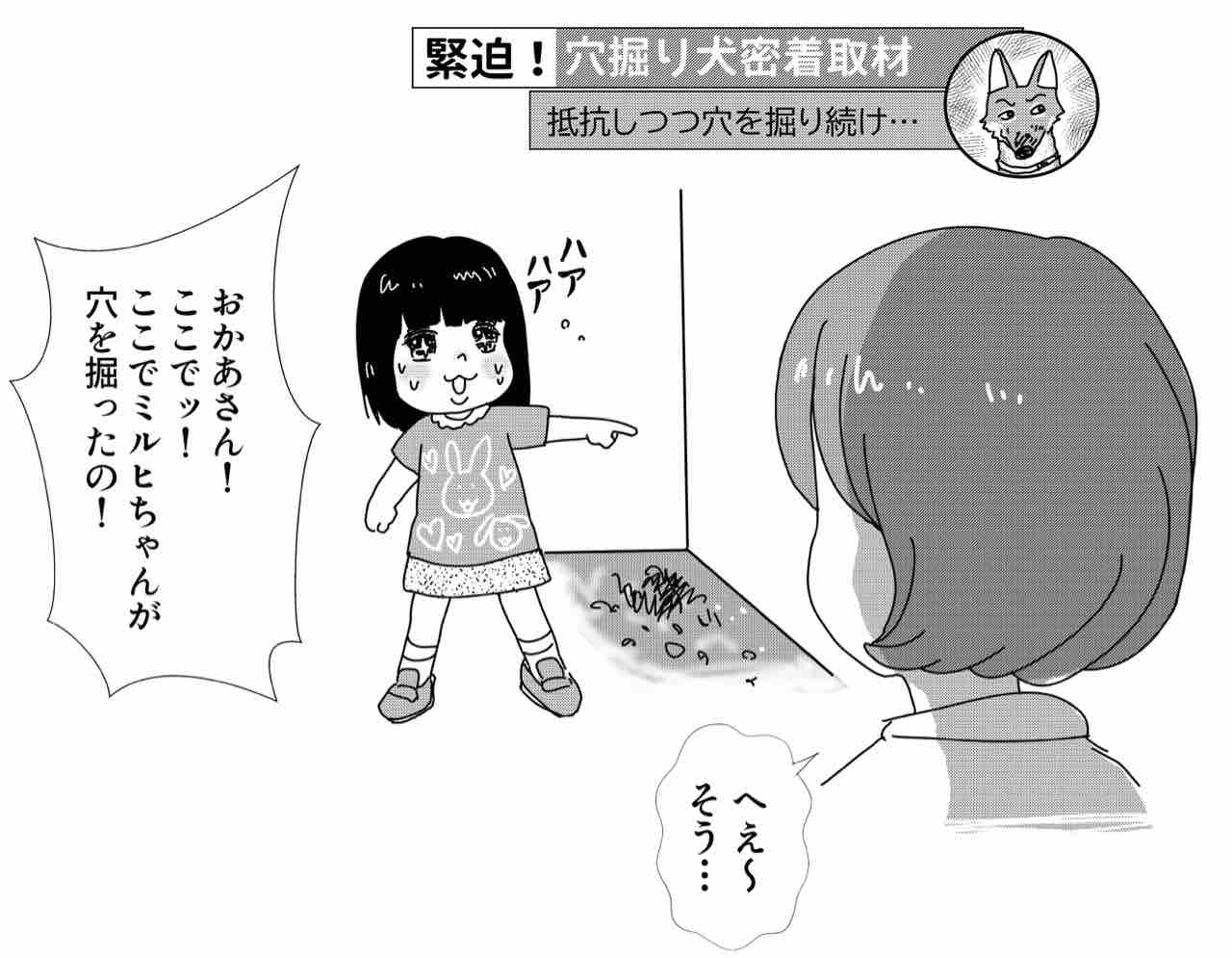 まゆたろ日記 日常編 ミルヒ 姪に会いに行く その後 まゆたろ日記 まゆたろ日記 日常編 ミルヒ 姪に会いに行く その後 まゆたろ日記