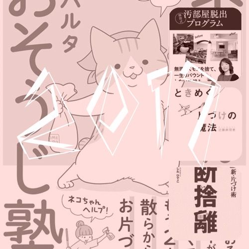 断捨離2017イメージ