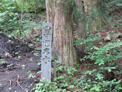 男池