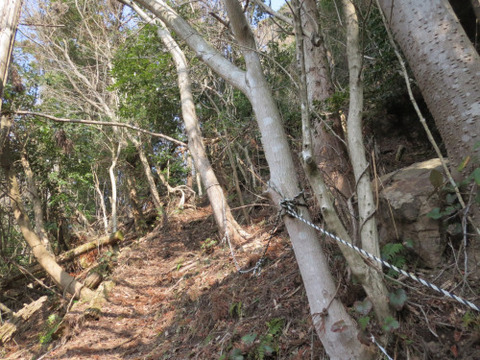 雲ヶ岳、御許山-2