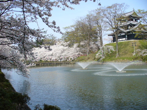 高田公園　観桜会 025