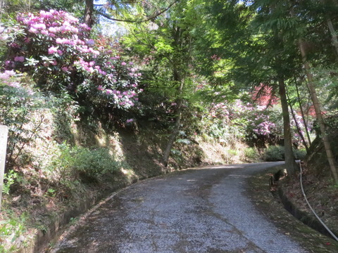 天台宗　長安寺