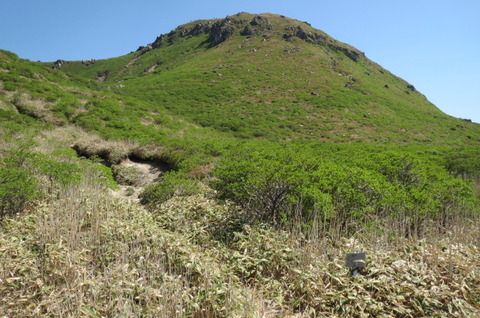 稲星山