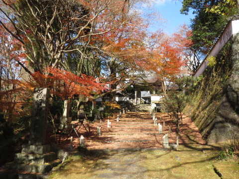 野津町普現寺の紅葉