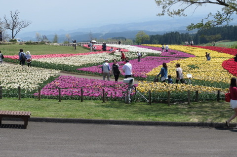 くじゅう花公園