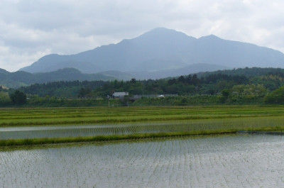 米山登山