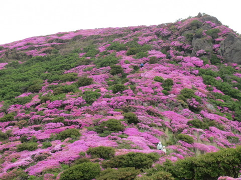 平治岳