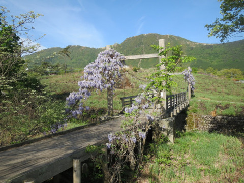 タデ原湿原