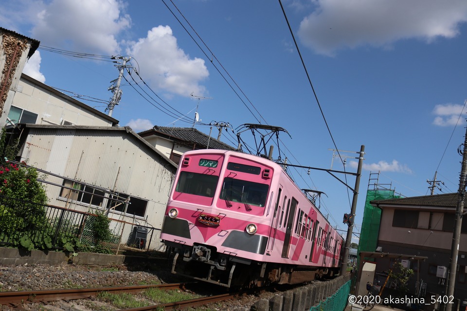 住宅街に広がる青空と「さくら」